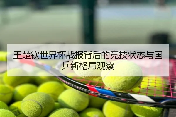 王楚钦世界杯战报背后的竞技状态与国乒新格局观察