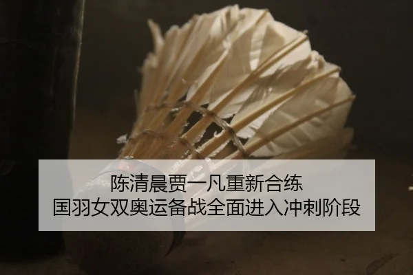 陈清晨贾一凡重新合练 国羽女双奥运备战全面进入冲刺阶段