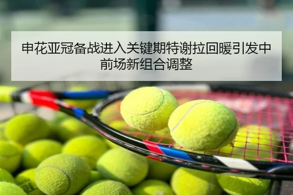 申花亚冠备战进入关键期特谢拉回暖引发中前场新组合调整
